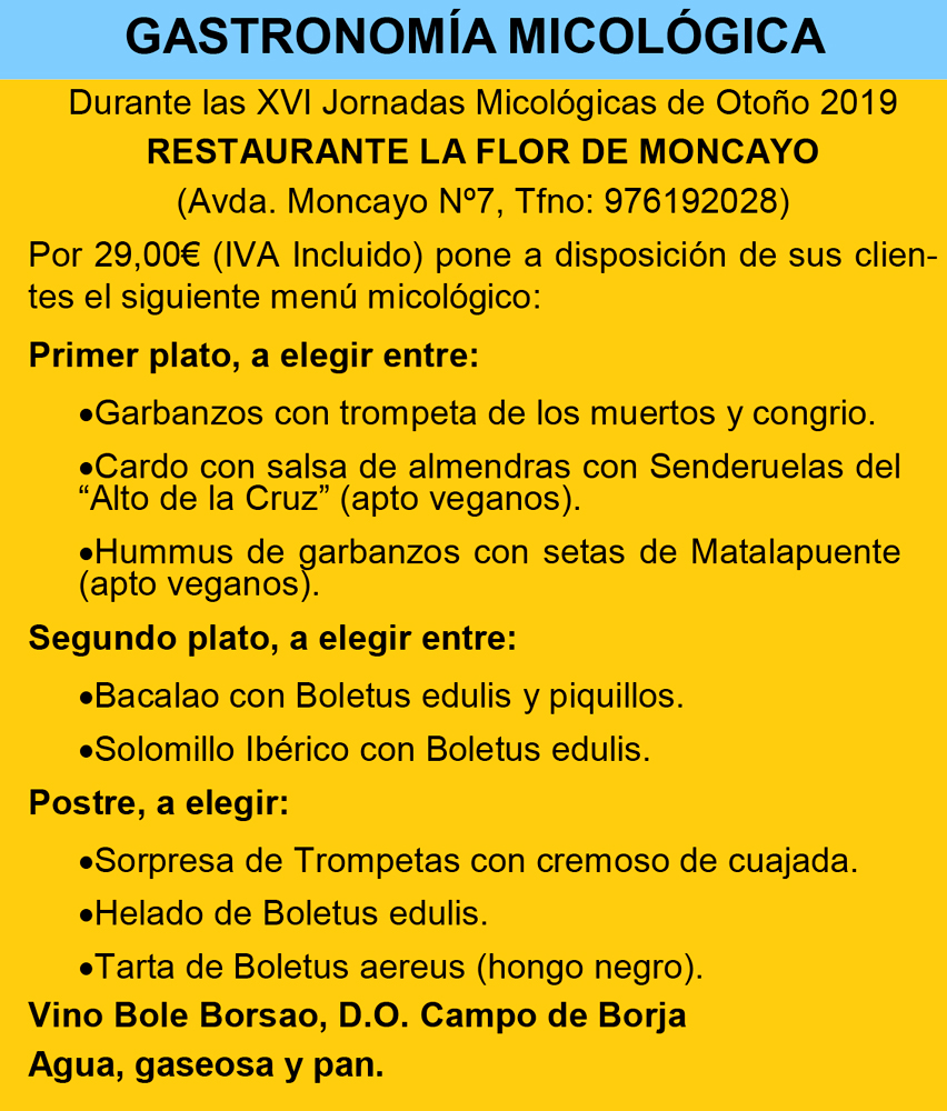 Gastronomía Micológicas XVI Jornadas Micológicas Otoño 2019 #MicoMoncayo