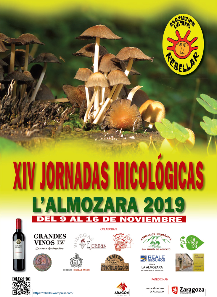 Cartel XIV Jornadas Micológicas Otoño 2019 #MicoRebellar