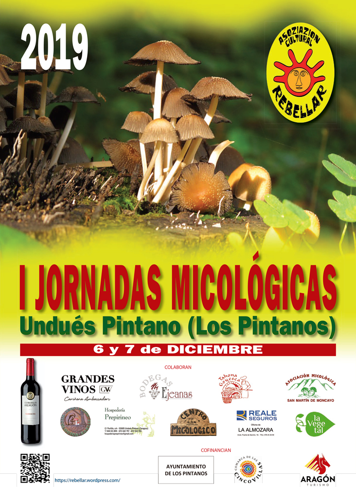 I Jornadas Micológicas Otoño 2019 en Undués Pintano